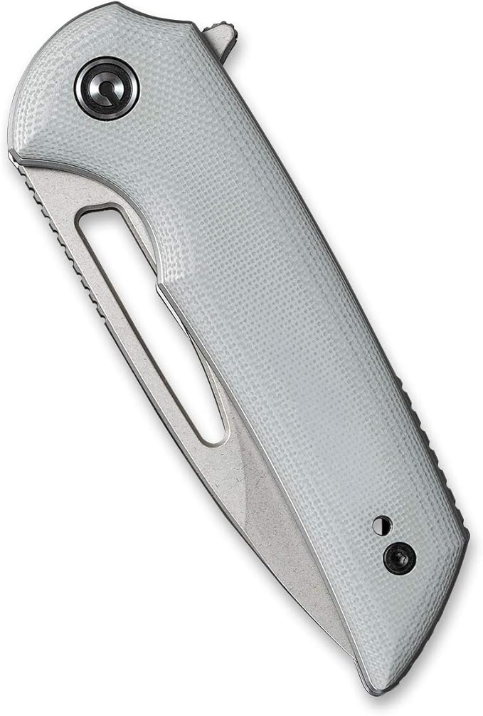 CIVIVI Odium Small Folding Knife –2.65" Stonewashed D2 blade, G10 Handle, Ball Bearings Pivot, Flipper Opening Knife with Reversible Deep Carry Clip C2010A (Gray)