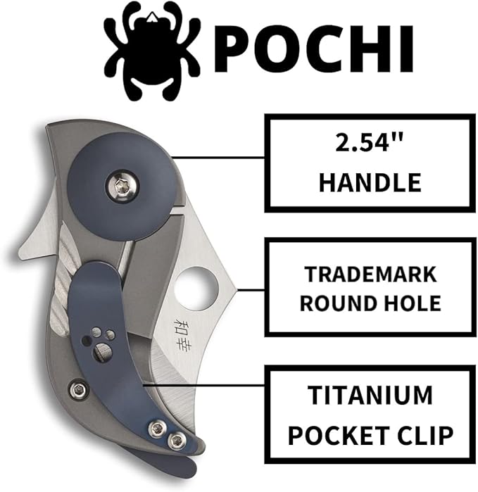 Spyderco Pochi Knife with Stainless Steel Blade with Titanium Handle - PlainEdge - C256TIP