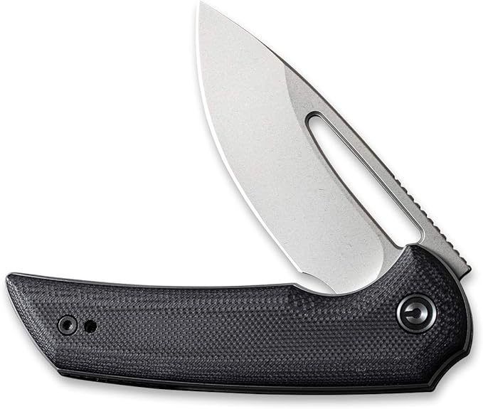 CIVIVI Odium Small Folding Knife –2.65" Black Stonewashed D2 blade, G10 Handle, Ball Bearings Pivot, Flipper Opening Knife with Reversible Deep Carry Clip C2010D (Black)