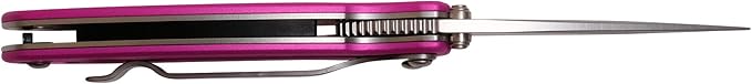 Kershaw Chive Pink Pocket Knife, 1.9" 420HC Steel Blade, 410 Stainless Steel Handle, Assisted Opening with Flipper, Small EDC
