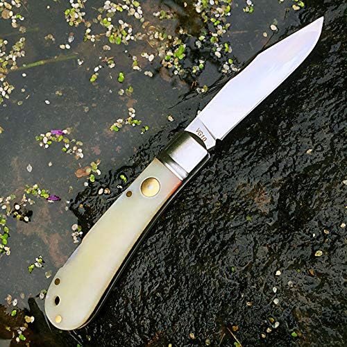 Watchman 1509N VG10 Blade Knife bone Grips Back Lock Pocket Knife …