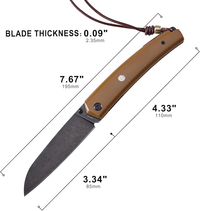 Petrified fish PF719 Folding Knife,3.34" 12C27N Steel Blade, G10 Handle Thumb Stud Liner lock Pocket knife (Black Stonewashed)