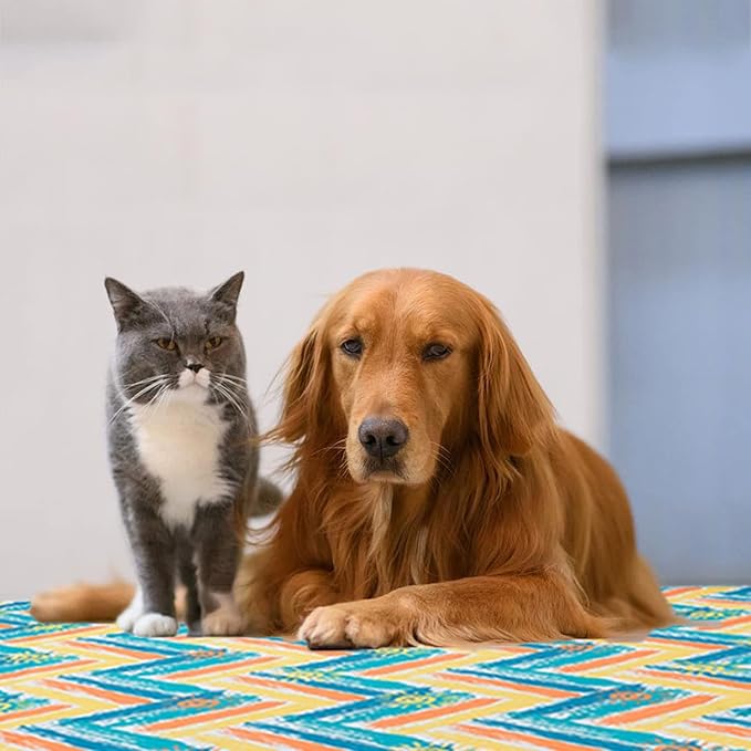 Picnic Blanket Waterproof Washable Foldable 58''x79'',Extra Large Picnic Mat, Dual Layers for Outdoor Water-Resistant Handy Mat, Beach, Intdoor,Camping on Grass - Sunny Holidays