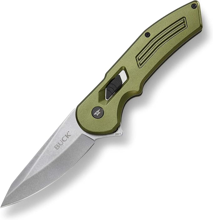 Buck Knives 262 Hexam Assist, Spring-Assist Folding Pocket Knife, 3.35" Stainless Steel Blade, Pocket Clip (Green)
