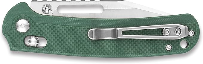 Ganzo G768-GB EDC Folding Pocket Knife Razor Sharp D2 Stainless Steel Blade G10 Handle with Clip Outdoor Foldable Pocket Knife Hunting Fishing Hiking Gear Best Gift for Men (Green)