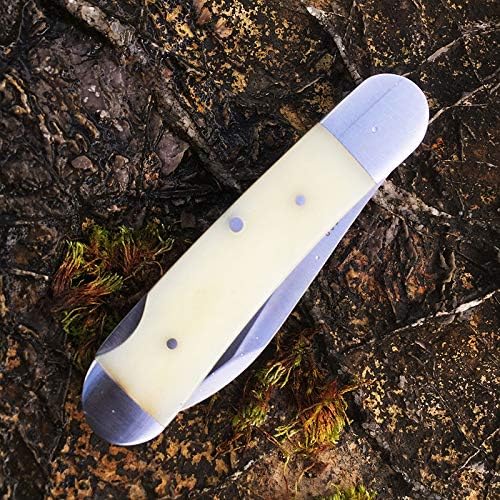 Watchman 1503BN Cowfish VG10 Blade Knife Bone Grips Lockback Pocket Knife …