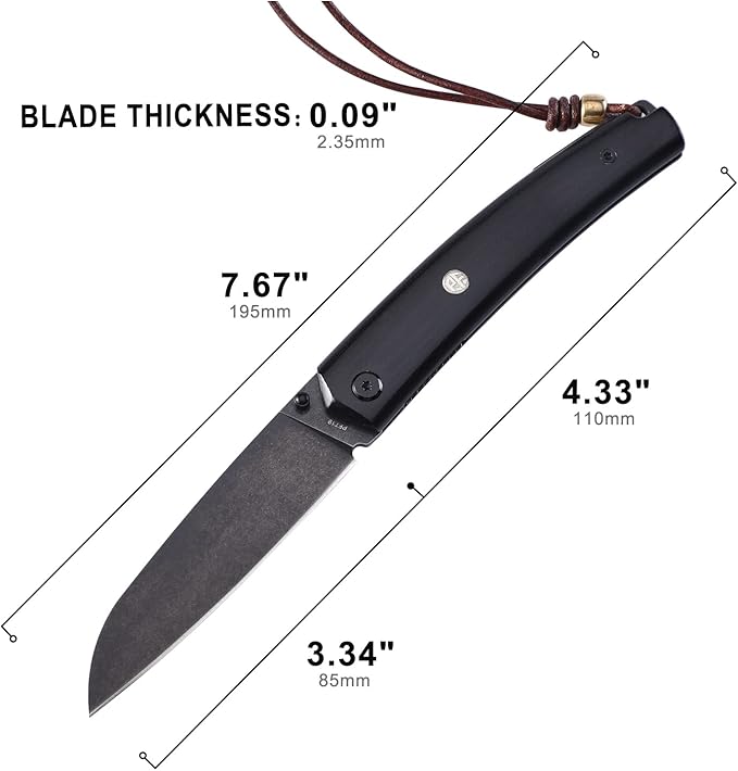 Petrified fish PF719 Folding Knife,3.34" 12C27N Steel Blade, G10 Handle Thumb Stud Liner lock Pocket knife (Black Stonewashed with G10 Handle)