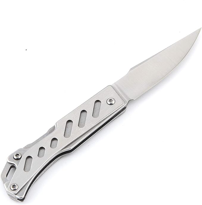 Sanrenmu 4058 Mini Steel Back Lock Folding Knife