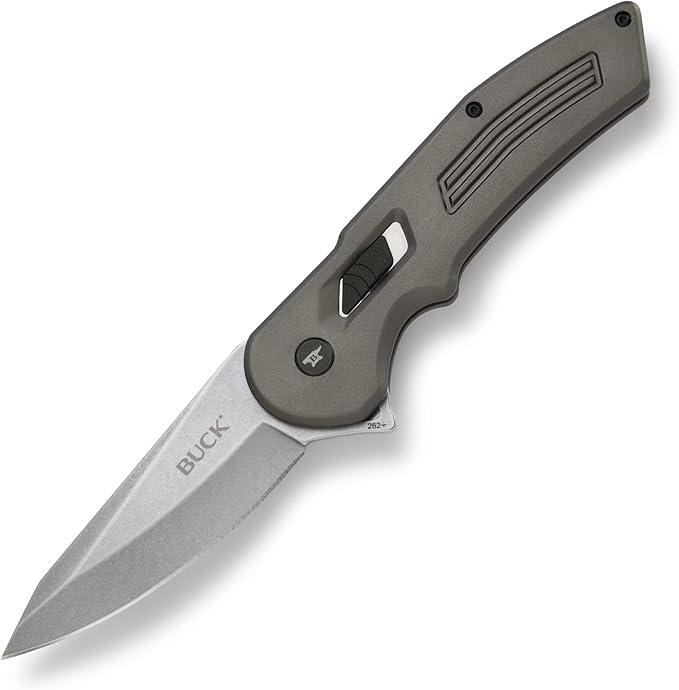 Buck Knives 262 Hexam Assist, Spring-Assist Folding Pocket Knife, 3.35" Stainless Steel Blade, Pocket Clip (Gray)