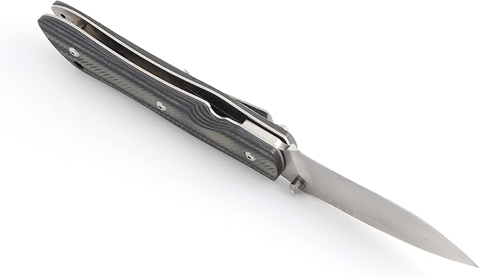 Sanrenmu 9051 Folding Knife 8Cr14Mov Blade G10 Handle None Lock with Clip Pocket Knife