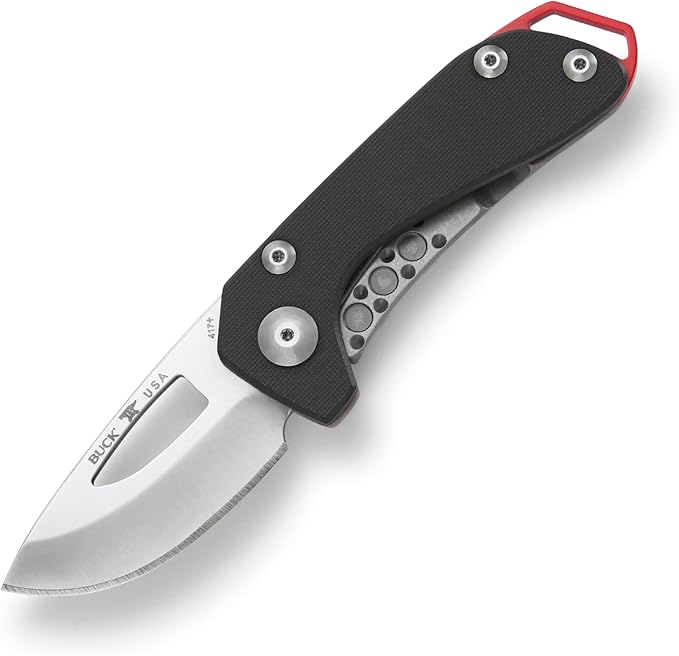 Buck Knives 417 Budgie Folding Pocket Knife with Clip, Lanyard Hole, 2" S35VN Stainless Steel Blade (Black)