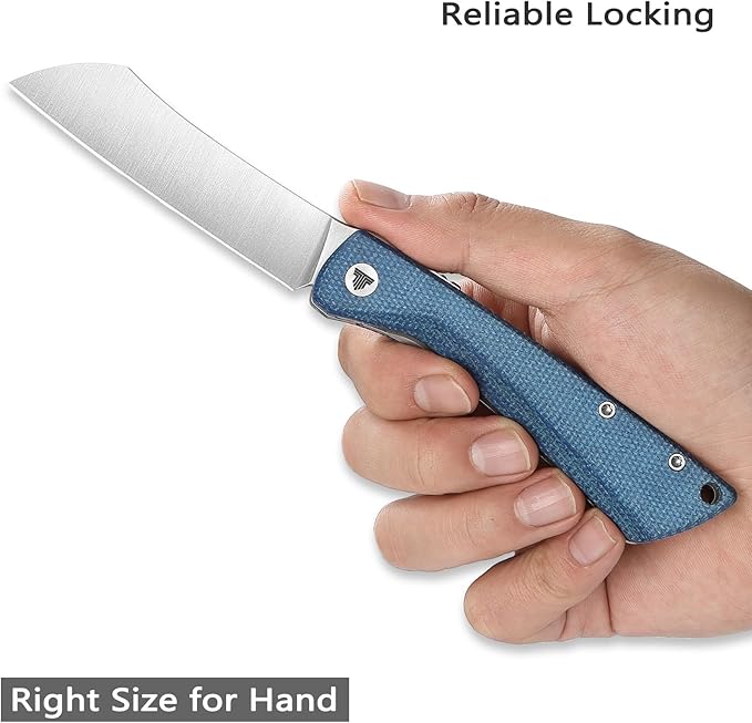 Modern Japanese Pocke Folding Knife with Clip,3.3'' 14C28N Steel Blade,Blue Micarta Handle,Front Flipper Higonokami EDC Knives for Men,Norma-04L