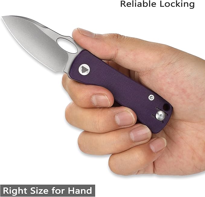 Pocket Knife for EDC,2.04in 14C28N Steel Blade,Purple G10 Reversible Deep Carry Clip Handle,Folding Thumb Hole Knives for Men and Women，Andromeda-03PG