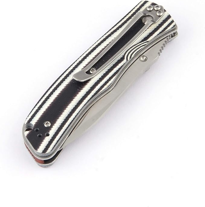 Sanrenmu 9055MUC EDC Frame Lock 8CR13MOV G10 Folding Pocket Knife