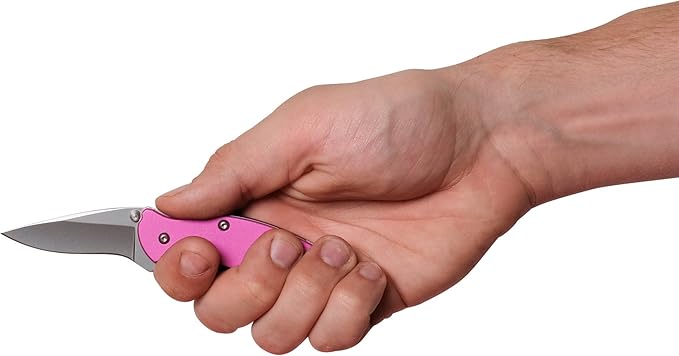 Kershaw Chive Pink Pocket Knife, 1.9" 420HC Steel Blade, 410 Stainless Steel Handle, Assisted Opening with Flipper, Small EDC
