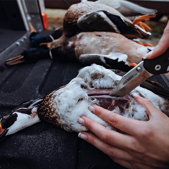 Cold Steel Bush Ranger Lite 3.5" 8Cr13MoV Razor-Sharp Blade 4.875" GFN Easy-To-Grip Handle Everyday Carry Hunting Folding Knife w/Rocker Lock