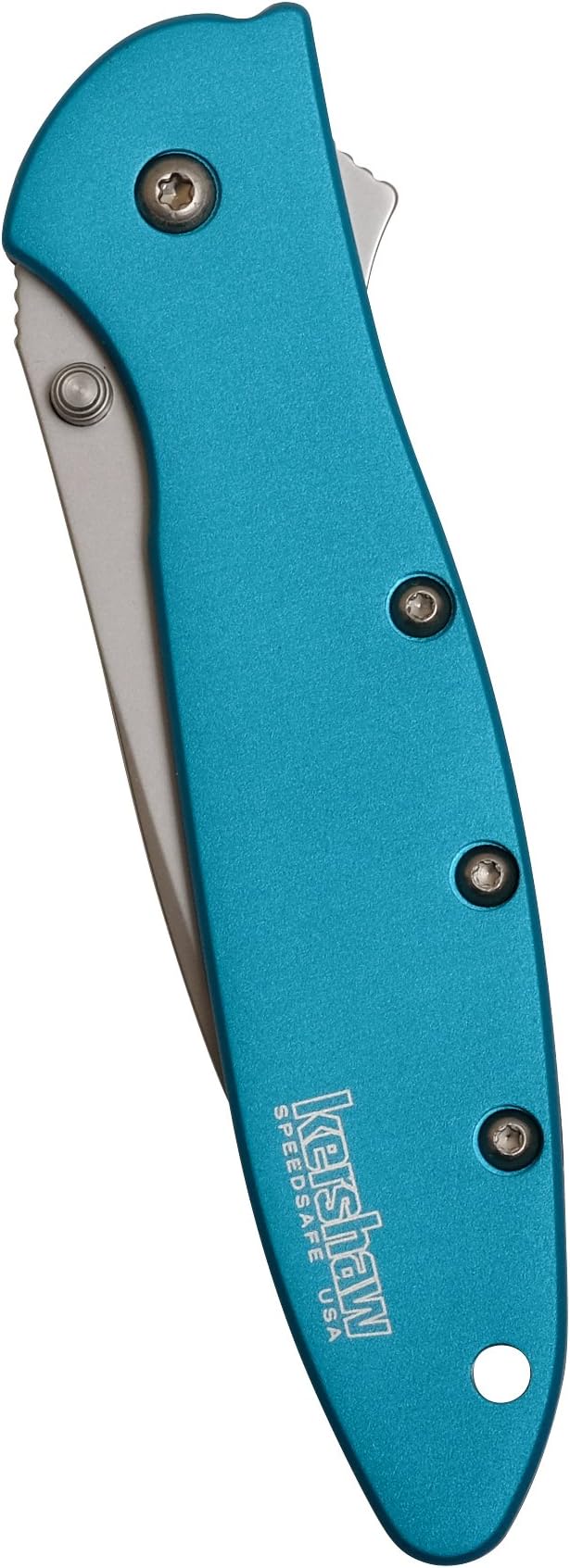 Kershaw Leek Teal EDC Pocketknife, 3" Sandvik 14C28N Steel Blade, Assisted Opening Folding Knife, Dual Lock System
