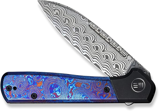 We Knife WE20050DS1: Soothsayer Framelock Dam