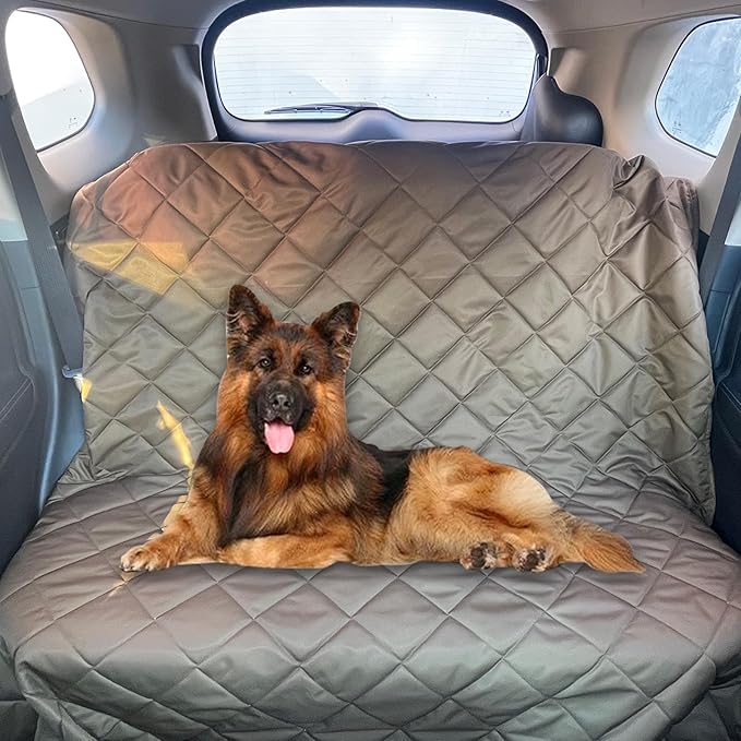 Outdoor Durable 210D Nylon Oxford Camping Blanket for Adult&Kids&Pets,Portable Packable Wterproof Blanket for Travel,Backpacking and Take Pets a Short Rest. (Swen-Through)