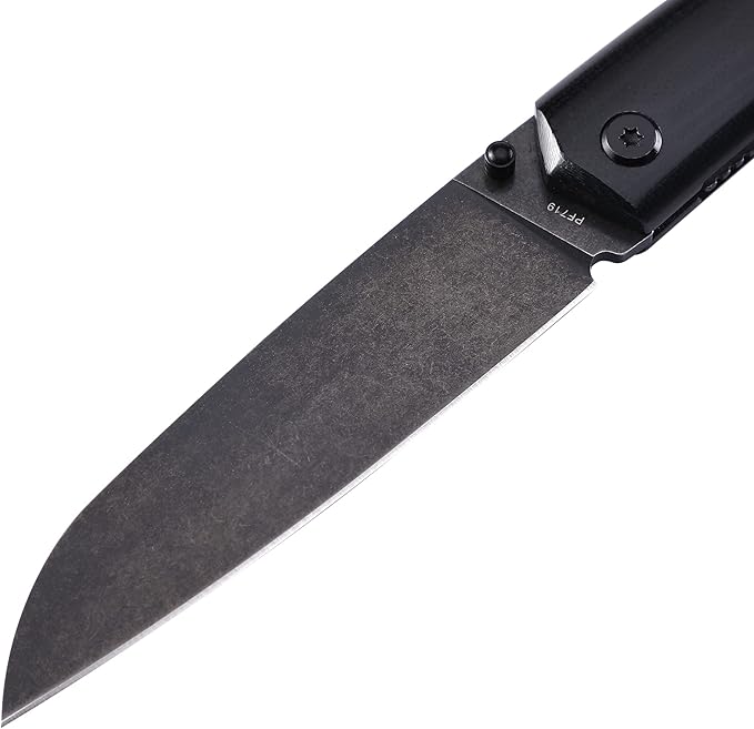 Petrified fish PF719 Folding Knife,3.34" 12C27N Steel Blade, G10 Handle Thumb Stud Liner lock Pocket knife (Black Stonewashed with G10 Handle)