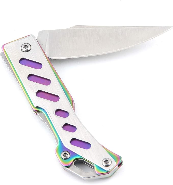 Sanrenmu 4058 Mini Steel Back Lock Folding Knife