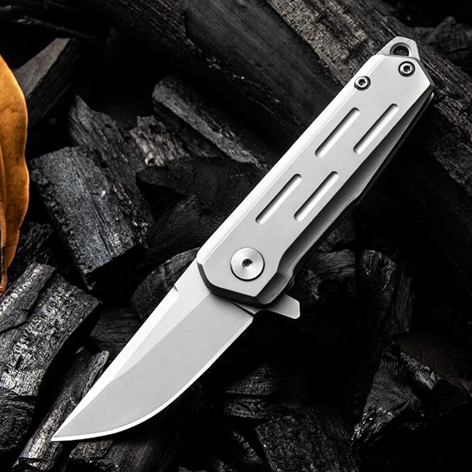 Compact Small Pocket Knife (ZH13), 2.04 Inch D2 Stainless Steel Blade with Sandblasting Technique. EDC Knife with Ball Bearings, Liner Lock, and Lanyard Hole. 3.17 oz, Silver.