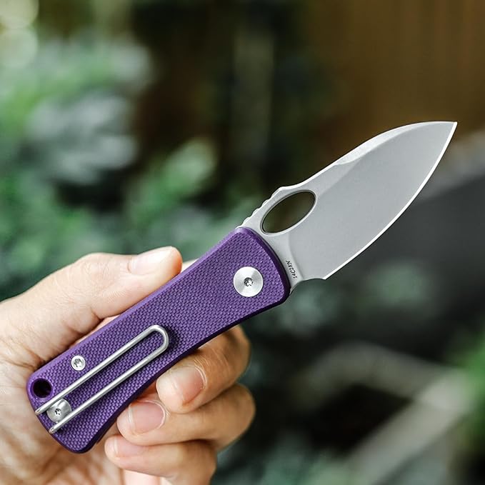 Pocket Knife for EDC,2.04in 14C28N Steel Blade,Purple G10 Reversible Deep Carry Clip Handle,Folding Thumb Hole Knives for Men and Women，Andromeda-03PG