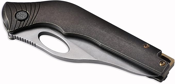 Knife Amuse-C04 Thumb Hole Knife,3.85" M390 Steel Blade Stonewashed,6AL4V Titanium Handle,Frame Lock Folding Knife,Titanium Pocket Clip(Bronze)