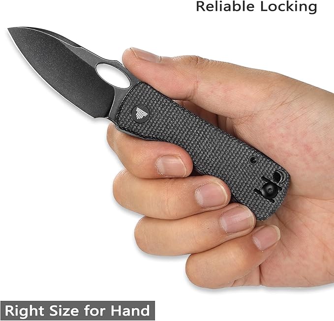 Pocket Knife for EDC,2.04in Titanium Coating 14C28N Steel Blade,Black Micarta Reversible Deep Carry Clip Handle,Folding Thumb Hole Knives for Men and Women，Andromeda-04B