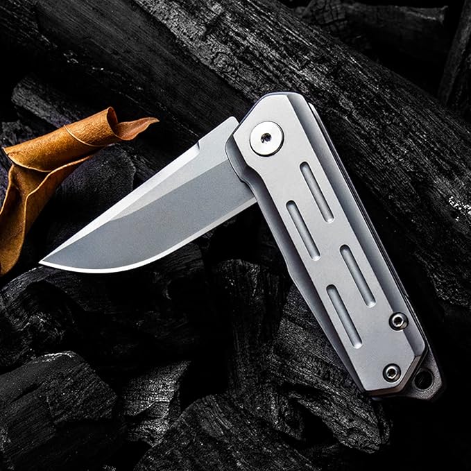 Compact Small Pocket Knife (ZH13), 2.04 Inch D2 Stainless Steel Blade with Sandblasting Technique. EDC Knife with Ball Bearings, Liner Lock, and Lanyard Hole. 3.17 oz, Silver.