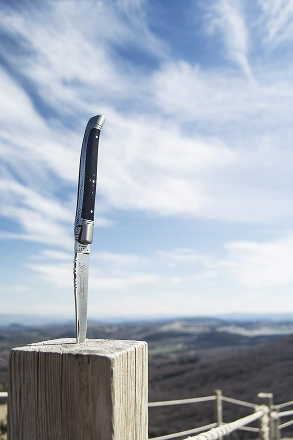 Laguiole PRESTIGE folding pocket knife 12 cm, Ebony Wood Handle, Made In France