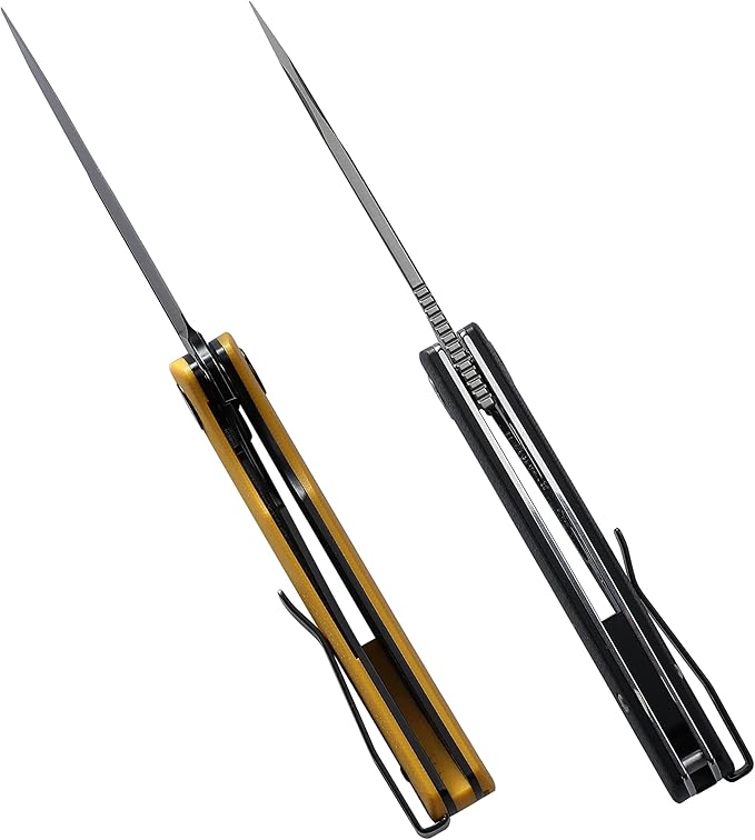 Petrified fish PFP01X Beluga,2.99" 14C28N Sand blasting Blade,95.6g G10 Hande Front Flipper Liner lock Folding knife (Sand blasting, Black G10)