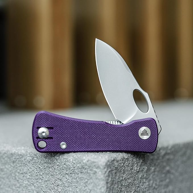 Pocket Knife for EDC,2.04in 14C28N Steel Blade,Purple G10 Reversible Deep Carry Clip Handle,Folding Thumb Hole Knives for Men and Women，Andromeda-03PG