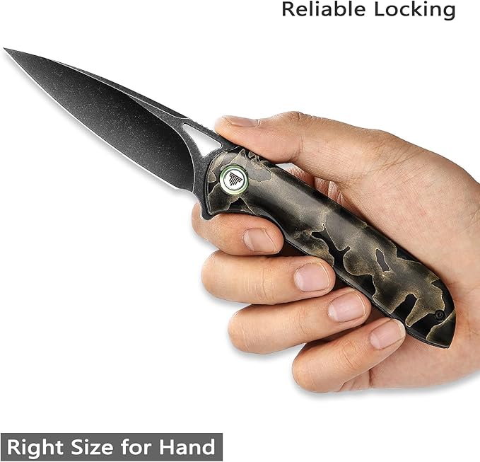 Folding Knife,3.48" Black PVD Blade Raffir Noble Handle with Deep Carry Pocket Clip,Cool Camping Hunting Flipper Knives for Men,Sgr-07