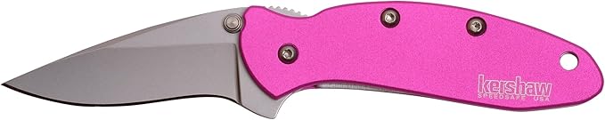 Kershaw Chive Pink Pocket Knife, 1.9" 420HC Steel Blade, 410 Stainless Steel Handle, Assisted Opening with Flipper, Small EDC