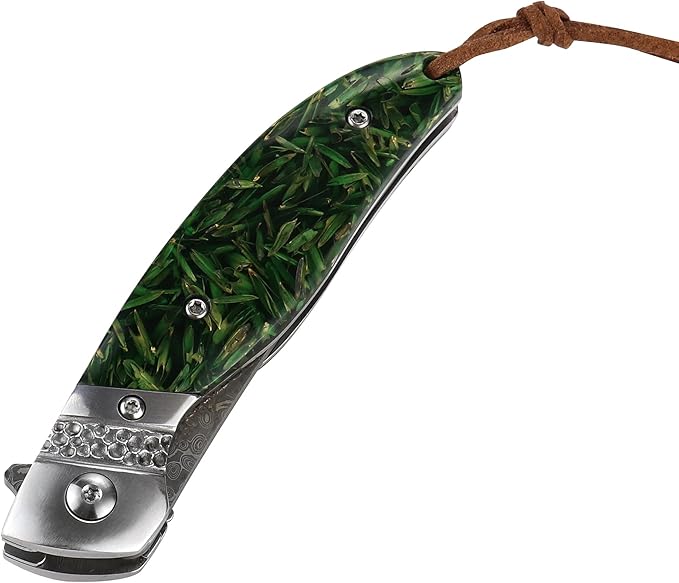 ALBATROSS HGDK028 EDC Sharp Mordern Damascus Folding Pocket Knife with Green paddy Synthetic Material Handle,Ball Bearing Assisted Opening Knives with Liner Lock Tail rope，Gifts/Collections