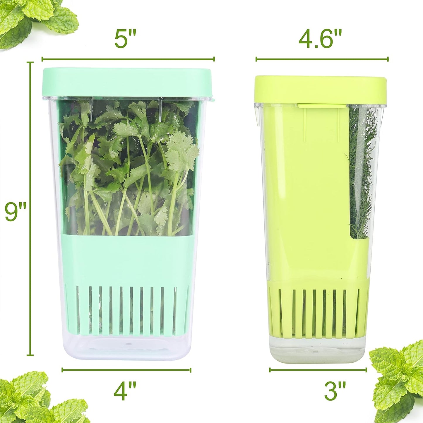 2 Pack Fresh Herb Keeper for Refrigerator, Clear BPA-Free Herb Saver, Storage Container for Cilantro, Parsley, Thyme, Mint & Asparagus, Preserver Keeps Fresh Herbs for 3 Times Longer