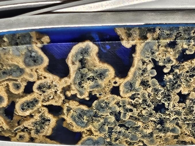 Hot Springs Blue Handle on Ken Onion Designed Leek with Plain Blade