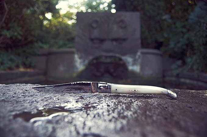 Laguiole PRESTIGE folding pocket knife 12 cm, Ebony Wood Handle, Made In France