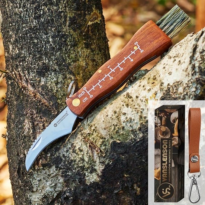 Professional Folding Mushroom Knife with Brush + Removable Leather Strap Wood Handle Foraging Knife for Fungus Truffles Handy Pocket Knife (Small)