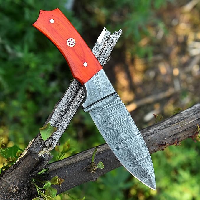 Handmade Damascus Skinning Knife with Sheath, 8-inch Fixed Blade knife Sharpener & Fire Starter for Camping, Outdoor, Bushcraft (RED HANDLE)