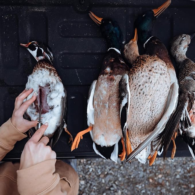 Cold Steel Bush Ranger Lite 3.5" 8Cr13MoV Razor-Sharp Blade 4.875" GFN Easy-To-Grip Handle Everyday Carry Hunting Folding Knife w/Rocker Lock