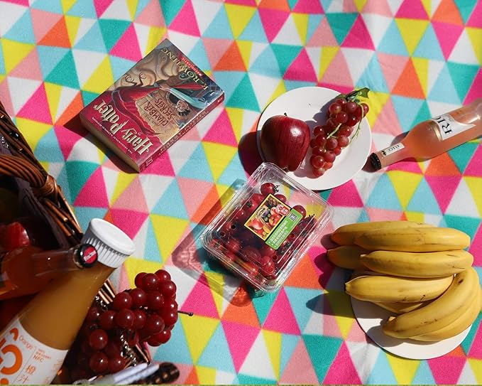 yodo Outdoor Picnic Blanket Water-Resistant for Camping Hiking Festivals, Colorful Triangle