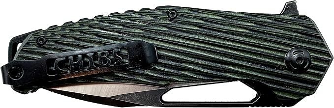 Chibs EDC Folding Knife 3.5” Stainless Steel Blade - Textured Two-Tone G10 Scales Handle Everyday Carry Adventure Flipper Deep Reversible Pocket Clip (Green/Black) (AUB09VCHYCPT)