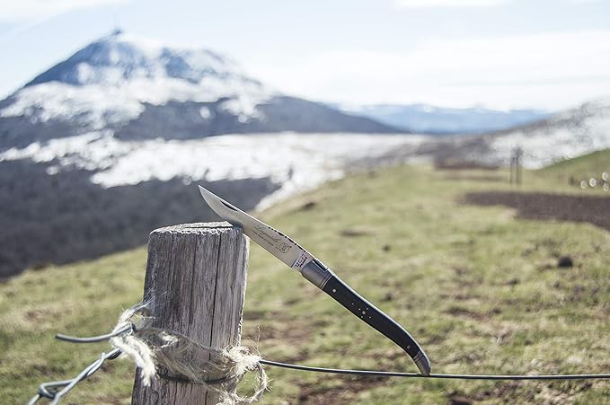 Laguiole Deluxe Folding Pocket Knife 11 cm, Olive Wood Handle, Made in France