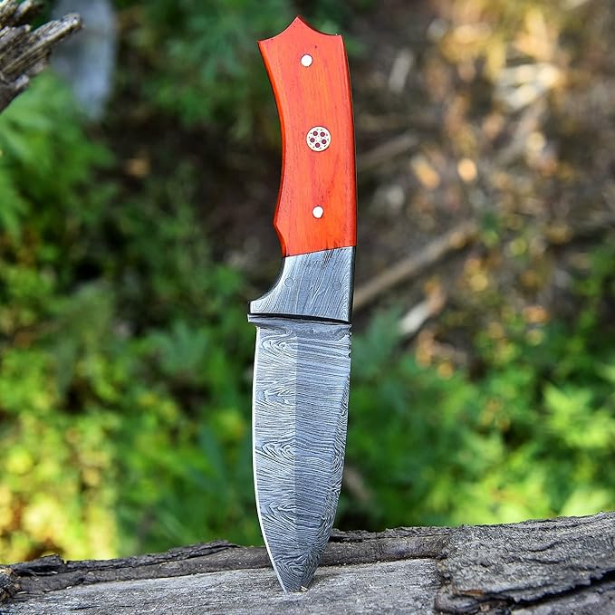 Handmade Damascus Skinning Knife with Sheath, 8-inch Fixed Blade knife Sharpener & Fire Starter for Camping, Outdoor, Bushcraft (RED HANDLE)