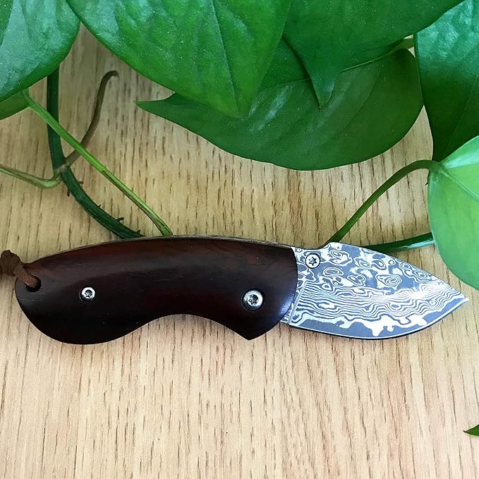 ALBATROSS Mini Pocket Knife Red Sandalwood 4.75'' Modern Damascus Steel Knife Liner Lock Folding Knife Gift Box - HGDK013