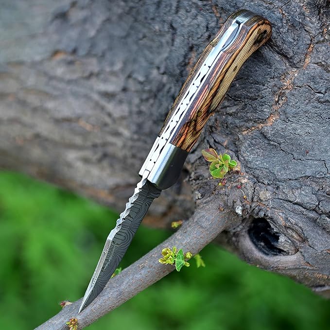 Handmade Damascus Pocket Knife for Men - 6.5 Inches Damascus Folding Knife with Sheath - Pocket Knives and Folding Knives with Back Lock - Best for EDC, Camping, Fishing and Hiking, Brown, HA786