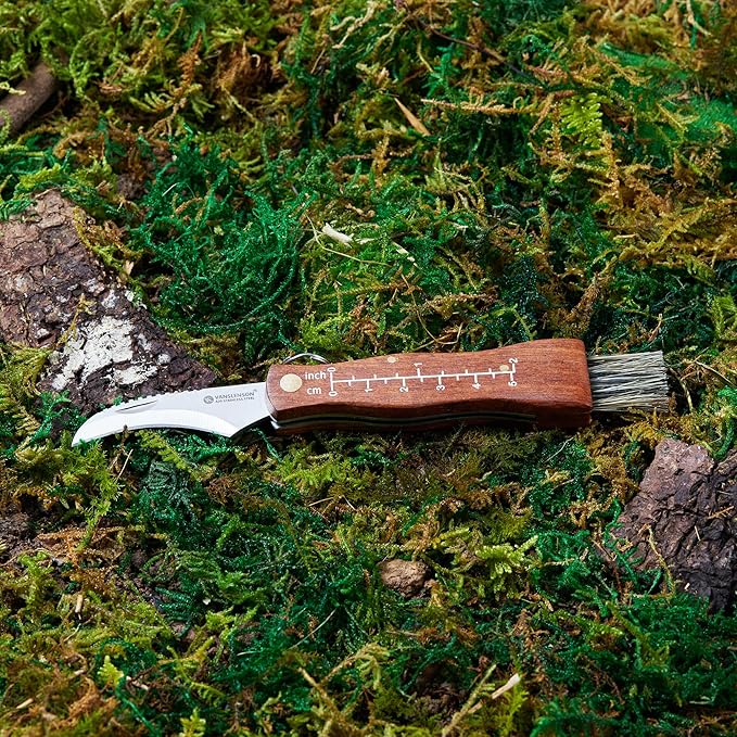 Professional Folding Mushroom Knife with Brush + Removable Leather Strap Wood Handle Foraging Knife for Fungus Truffles Handy Pocket Knife (Small)