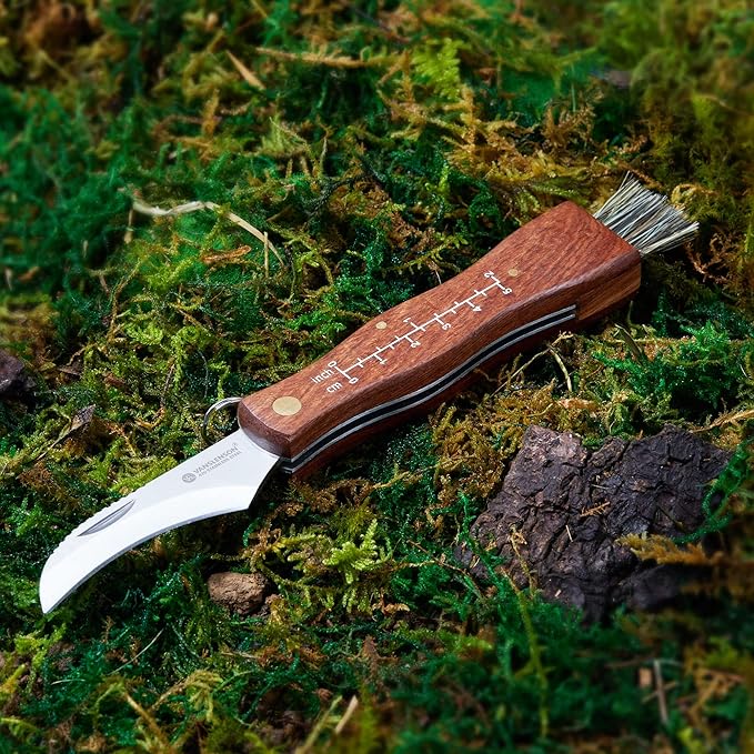 Professional Folding Mushroom Knife with Brush + Removable Leather Strap Wood Handle Foraging Knife for Fungus Truffles Handy Pocket Knife (Large)